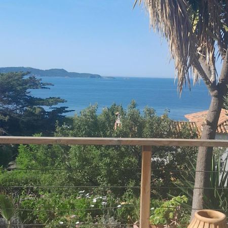F3 Rdc Villa Vue Mer 180 Face A La Pointe De Giens Carqueiranne Esterno foto